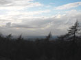 Clent Hills, Black Country by Richard Billingham