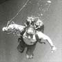 ship's diver