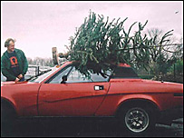 Christmas tree tied to a car 