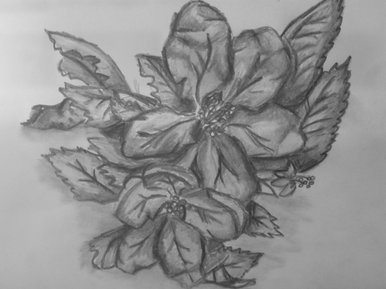 Apple blossom