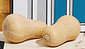 Harvest your squash