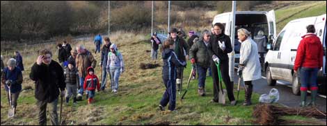 Tree planting activity
