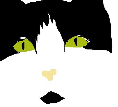 My cat