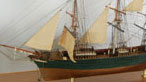 Model o'r Mimosa