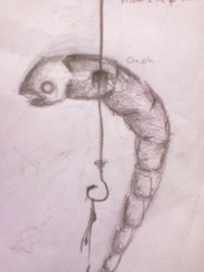 HookLine&Sinker