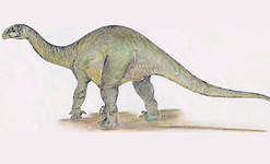 Antetonitrus Ingenipes