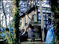 Wooden hut in the woods