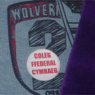 Yn gwisgo bathodyn yr ymgyrch dros goleg ffederal Cymraeg