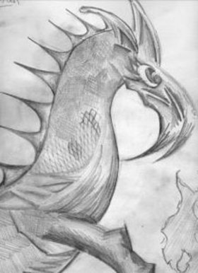 Dragon Fire