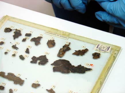 Fragments of scroll, with numbered labels next to each, under a glass plate edged in sticky tape that is yellowing with age