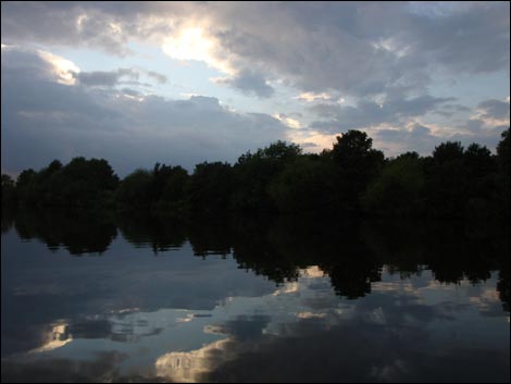 The River Trent near Colwick Park by Wendy Hurst from West Bridgford