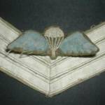 These are Doug's Flight engineer Wings