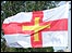 The Guernsey flag flies at the stadium