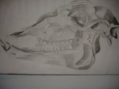 [untitled]