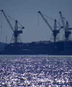 Cranes by river