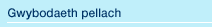Gwybodaeth pellach