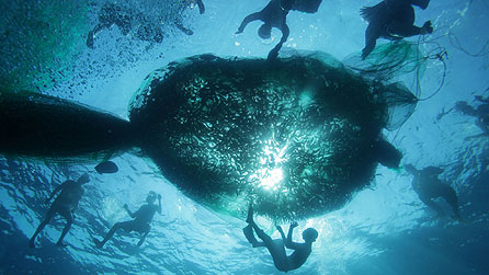 Paaling fishermen dive using compressed air to net a catch from the reefs in the Palawan sea, Philippines.