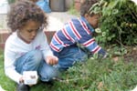 Place bugs in plastic boxes