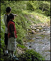 Brock Bottom