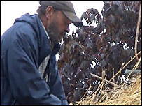 Dave Symonds repairing a thatched roof