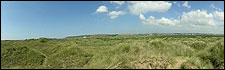 Braunton Burrows