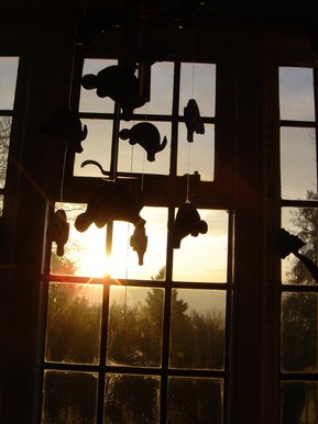 That glorious Sunday Sunrise