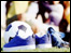 trainers and football