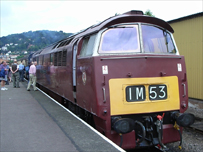 Western diesel