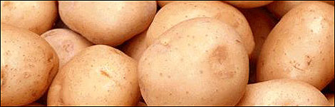 Potato