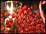 cranberries