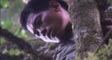 adi's video screenshot thumbnail