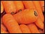 Carrots