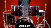 Drum And Bush...