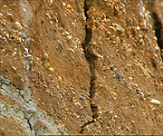 Remains of the ancient river's gravel bed on the cliff face