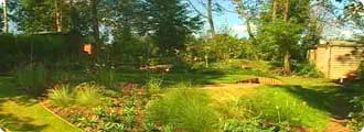 Planting a natural garden