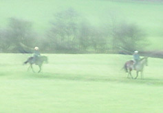 horse riding