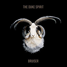 Review of Bruiser