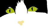 My cat