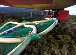 scientists in the canopy © Laurent Pyot et Hirochika Setsumasa/Ocean Vert/Gamma/Gedeon Programmes