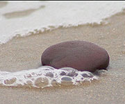 Bean and waves