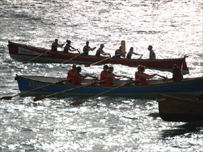 Gig rowing in Newquay