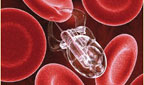 nanotechnology