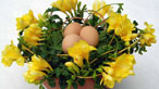 Willliam Graham's Egg Basket in the Snow courtesy of the national Assembly for Wales