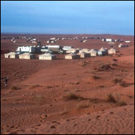 Saudi camp in the desert