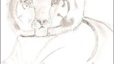 Young tiger cub...
