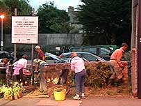 Guerilla gardeners