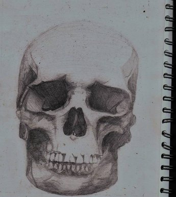 Skull
