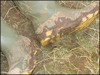 Muddy Wellies at the V Festival