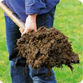Organic manure needs to be stacked for six months before being used on a garden.