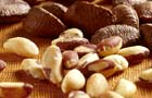 Image: Brazil nuts